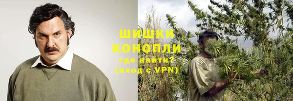 гашик Алексеевка